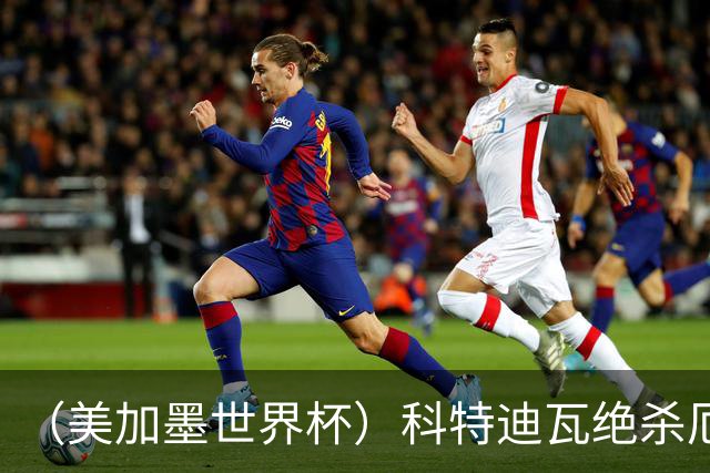 （美加墨世界杯）科特迪瓦绝杀厄瓜多尔 瑞典5:1大胜突尼斯